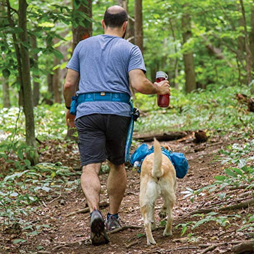 Kurgo top running belt