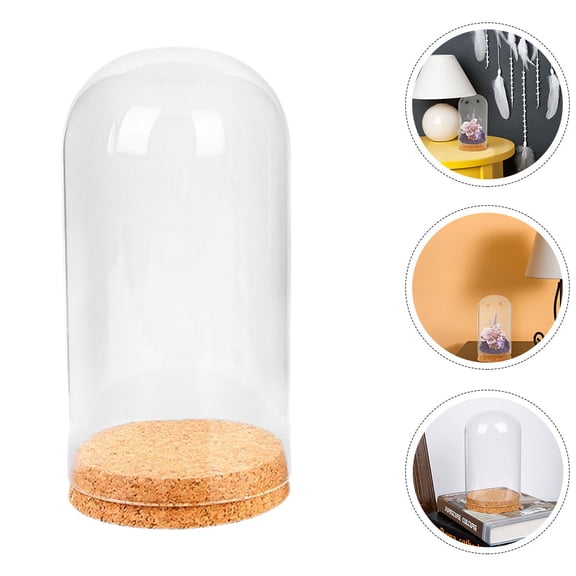 Toyvian Glass Dome Cloche - Round Decorative Display Cover for , Home Decor, 1 Set