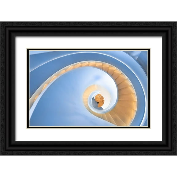 Wang, Peiyin 14x10 Black Ornate Wood Framed with Double Matting Museum Art Print Titled - spiral stairs