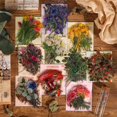 thumbnail image 1 of Pegatinas de mariposas con flores y cuenta de mano del Museo de Historia Natural Bolsa de pegatinas retro para niños con cuenta de mano, 1 of 5