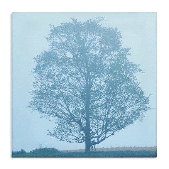 Stupell Industries Modern Spring Tree Blue Sky Canvas Art, 17 x 17, by James McLoughlin
