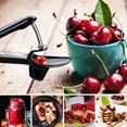thumbnail image 2 of Cherry Pitter Fruit Olive Core Remover Cherry Stone Remover with Saving Lock, 2 of 4
