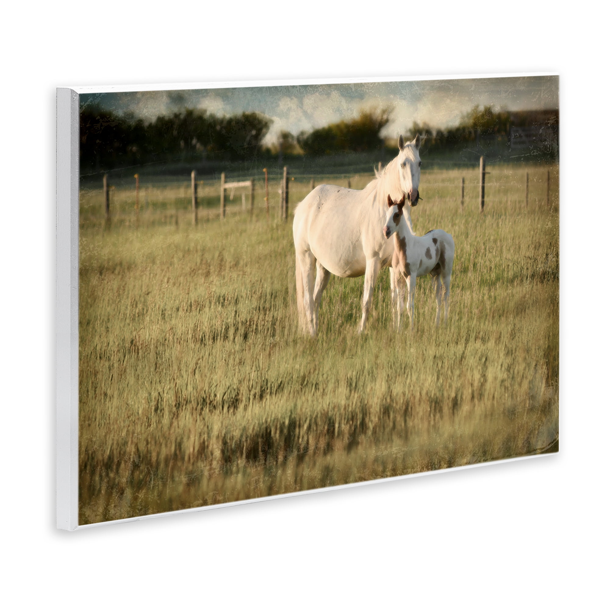 Stupell Industries Rural Horse and Foal Landscape Photography Unframed Art Print Wall Art, 19 x 13