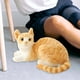 thumbnail image 5 of Gato suave Juguete de peluche Animal Acolchado de felpa Relleno Simulación siameses para niñas Novia Estilo A Yotijar  Juguetes de peluche, 5 of 8