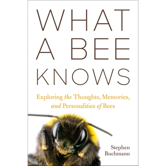 What a Bee Knows: Exploring the Thoughts, Memories, and Personalities of Bees, (Paperback)