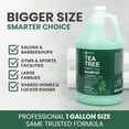 thumbnail image 5 of KESMEDIK Tea Tree Oil Shampoo MaxTherapy, Clarifying Deep Clean for Buildup, Dandruff & Cools Refreshes Itchy Scalp, Sulfate-Free for Oily Hair, Women & Men, 16 fl oz, 5 of 7
