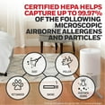 thumbnail image 3 of Honeywell Designer Series Air Purifier for Home, 190 Sq ft, HEPA filter, White, Smoke, Pollen, Dust Reducer, 3 of 11