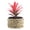 B, variant on Meiiso Artificial Pineapple Head Potted Plant, Rattan Pot Desktop Green Plant Decoration, 6-Inch Tall, Faux Potted Plant, Home Decor
