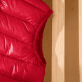 thumbnail image 4 of PatPat Veste Sans Manches Matelassée en Coton à Capuchon pour Tout-Petit Garçon/fillette, 4 of 6
