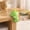 A, variant on Corner Protectors Adorable Soft High-Elastic Protection Desk Corner Guards – Bumpers for Home and Office