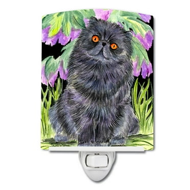 Caroline's Treasures SS8247CNL Cat - Persian Ceramic Night Light, 6x4x3", multicolor