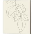 thumbnail image 1 of Great Art Now Line Leaves I Oasis by Karyn Panganiban, Canvas Wall Art, 16W x 20H, 1 of 2