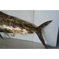 thumbnail image 4 of Mahi Mahi catching flying fish made of cut steel - Size: 39"L x 2"W x 12"H., 4 of 7