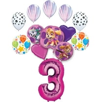 Paw Patrol Party Supplies Skye, Everest and friends 3rd Birthday Balloon Bouquet Decorations
