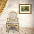 thumbnail image 3 of Jaynes Gallery 24x17 Gold Ornate Wood Framed with Double Matting Museum Art Print Titled - Oregon-Harney County-California quail, 3 of 4