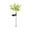 White67, variant on Iumwxz Solar Hydrangea Garden Stake Light, 60cm Tall Outdoor Solar Powered LED Landscape Light with Rainbow Colored Blades, Plastic and Metal Construction for Garden, Lawn, Walkway Decoration