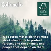 Cottonelle Freshcare 42ct Rft