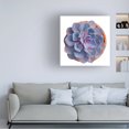 thumbnail image 3 of Cora Niele 'Succulent Cut Out 14' Canvas Art, 3 of 3