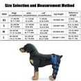 thumbnail image 4 of Dog Knee Brace Adjustable Dog Double Rear Leg Brace with Metal Hinged Flexible Support and Reflective Seat Belts(Blue) - L, 4 of 6