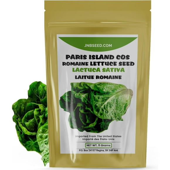 SHIQI-Heirloom Gardening Seeds for Planting (Parris Island COS Romaine Lettuce Seed)