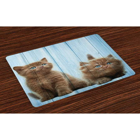 Animal Placemats Set of 4 Baby Kitten Siblings Lovely Animals Creatures Best Friend Pattern Art Print, Washable Fabric Place Mats for Dining Room Kitchen Table Decor,Caramel Sky Blue, by (Best Places To Shop For Baby Items)