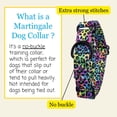 thumbnail image 6 of Country Brook Petz® Electric Leopard Reflective Martingale Dog Collar, Small, 6 of 7