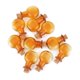 thumbnail image 2 of 10 Uds de botellas de corcho pequeñas redondas y planas Zulema, 2 of 8