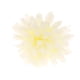 thumbnail image 3 of 10 Pedazos Flor Pompones de Tela Artificiales Decoración Crema, 3 of 7