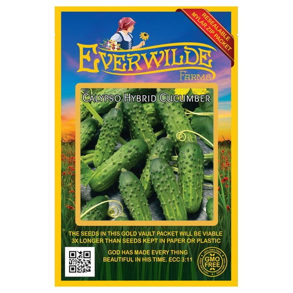 Everwilde Farms - 100 Calypso F1 Hybrid Cucumber Seeds - Gold Vault Jumbo Bulk Seed Packet
