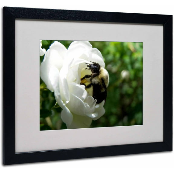Trademark Fine Art "Passionate Desire" Canvas Art by Monica Fleet, White Matte, Black Frame