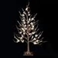 thumbnail image 3 of RAZ Imports Pinecone Lodge 36" Pinecone Lighted Tree, 3 of 3