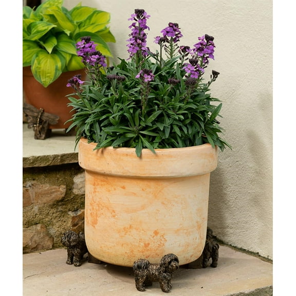 Potty Feet Decorative Shih Tzu Themed Plant Pot Feet - Bronze Color - Set of 3