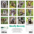 thumbnail image 2 of Willow Creek Press, Rascally Raccoons 2025 Wall Calendar, 2 of 4