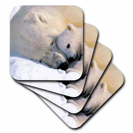 

Polar Bear and Cub set of 4 Coasters - Soft cst-516-1