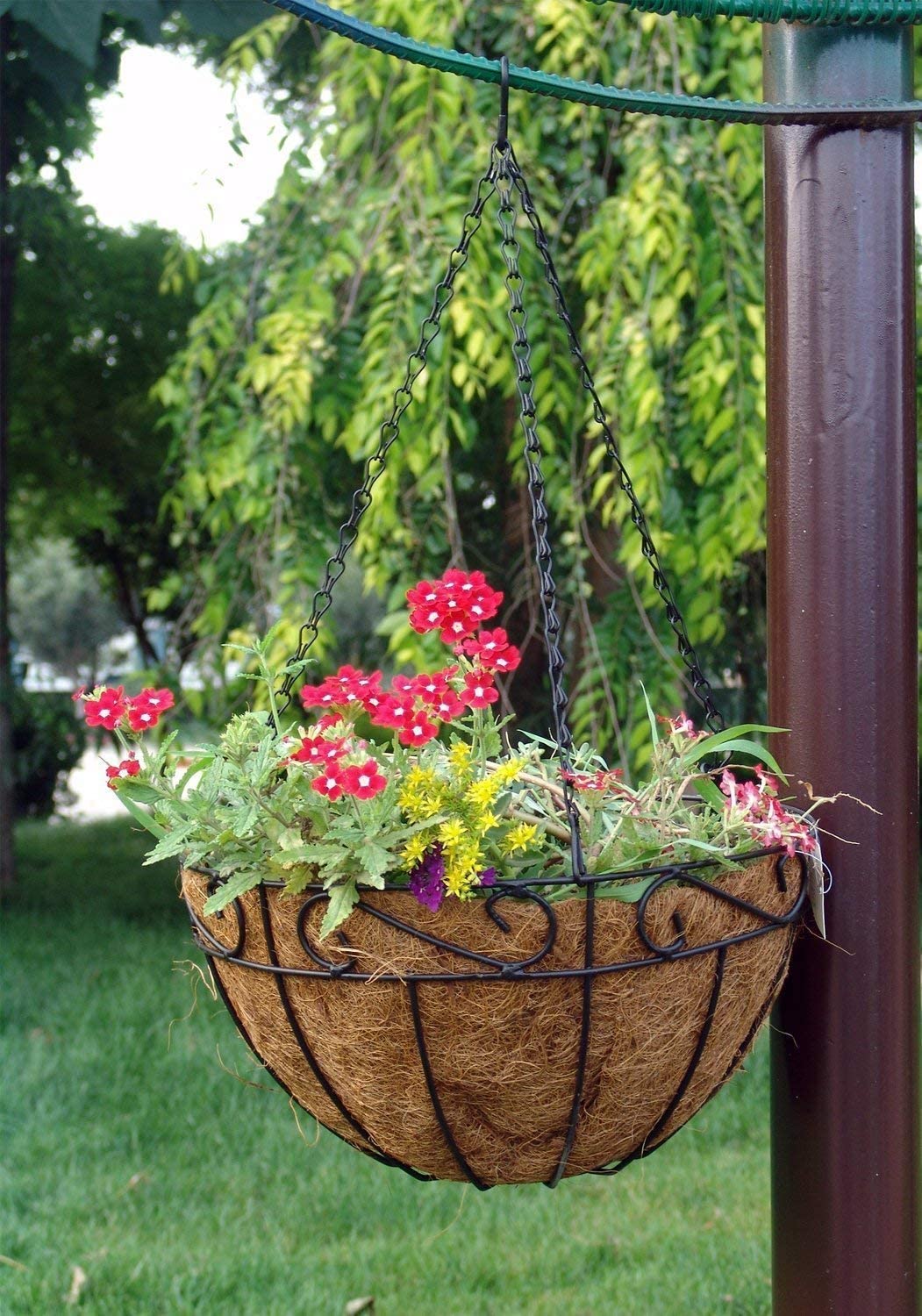 Windfall Metal Hanging Planter Basket with Coco Coir Liner Round Wire Plant Holder with Chain Porch Decor Flower Pots Hanger Garden Decoration Indoor Outdoor Watering Hanging Baskets - image 5 of 7