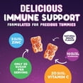 thumbnail image 6 of Kids Immune Support Gummies - Vitamin C, Zinc & Echinacea Children's Daily Immune Health Support Gummy Supplement for Ages 4 and Up, Natures Kid's Vitamin C Gluten-Free & Non-GMO, Vegan - 120 Gummies, 6 of 10