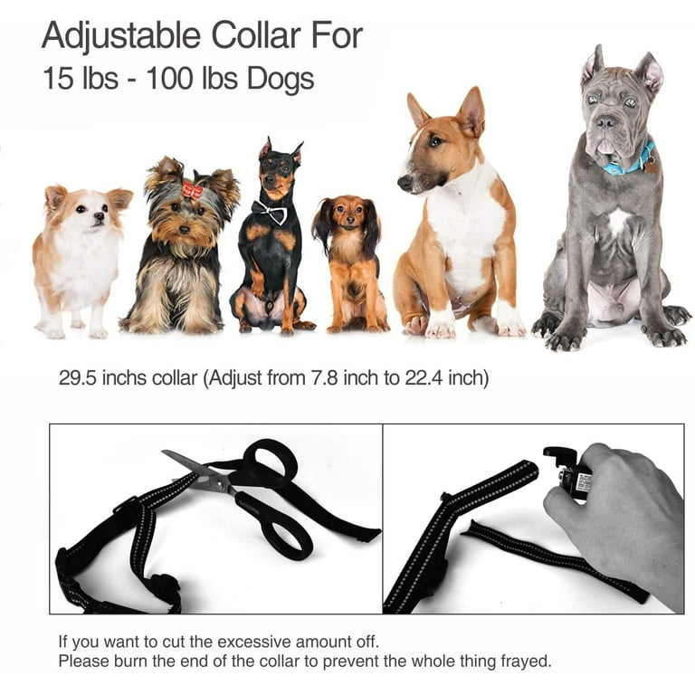 Open Box DOBE Bark Collar - 2 in 1 Dog Training Collar - Walmart.com