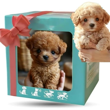 2025 New Robot Dog, Robot Puppy That Acts Like A Real Puppy, Nicoo - My Realistic Robotic Puppy, Nico DogRobot for Adults, Ai Nicco RobotDog - Walking, Barking, Tail Wagging