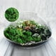thumbnail image 4 of Musgo Artificial Para Plantas En Maceta, Musgo Verde, Decoración Del Hogar, Jardín De Hadas, Manualidades, Decoración De Bodas, Verde Fresco, 4 of 8