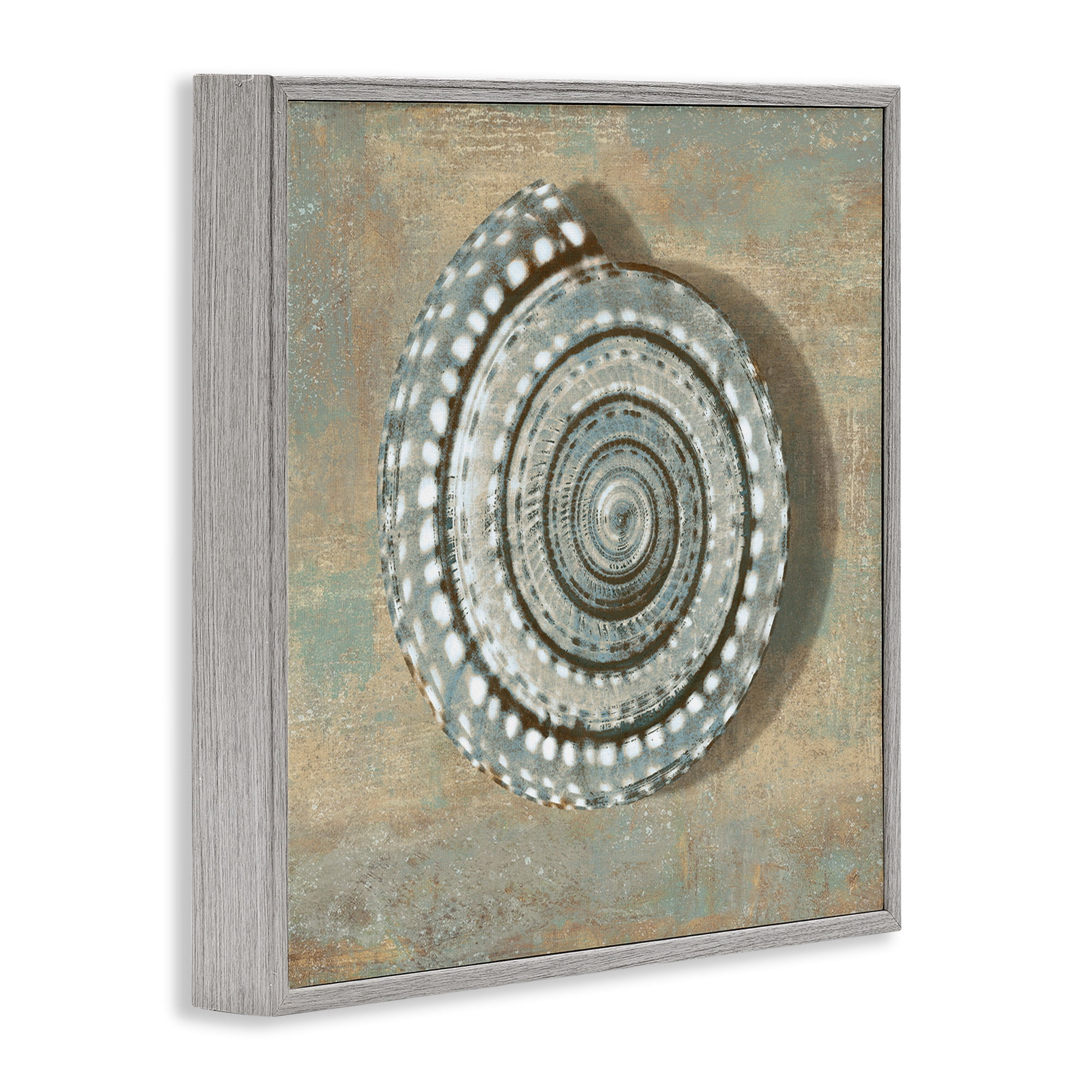 Stupell Industries Spiral Shell Beach Objects Design Nature Painting Gray Framed Art Print Wall Art, 24 x 24