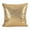 Gold, variant on SARO 20 in. Square Shimmering Metallic Design Down Filled Throw Pillow Silver
