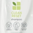 thumbnail image 3 of Champú Biolage Normalizing CleanReset de Matrix para unisex - Champú de 13.5 oz Matrix NA, 3 of 7