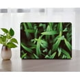 thumbnail image 4 of KSK KAISHEK Hard Case Cover Compatible with MacBook Air 13" with No Touch No USB-C + Black Keyboard Cover Model: A1466 A1369( Plants series 0542), 4 of 5