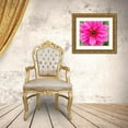 thumbnail image 3 of Wild, Jamie and Judy 17x15 Gold Ornate Wood Framed with Double Matting Museum Art Print Titled - WA-Redmond-Daisy, 3 of 4
