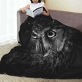 thumbnail image 3 of Black Owl flannel Throw Blanket Soft Lightweight Warm Cozy Plush Blanket for Couch Bed Sofa 80"X60", 3 of 6