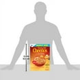 thumbnail image 6 of Honey Nut Cheerios Gluten Free Breakfast Cereal, 21.6 oz, 6 of 8