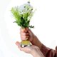 thumbnail image 5 of 32 Piezas de Ranas de Flores Kenzans Pin Floral Redondo Ranas Florero Arreglo Floral Pin Rana Herramientas Fijas (0.9 Pulgadas), 5 of 5
