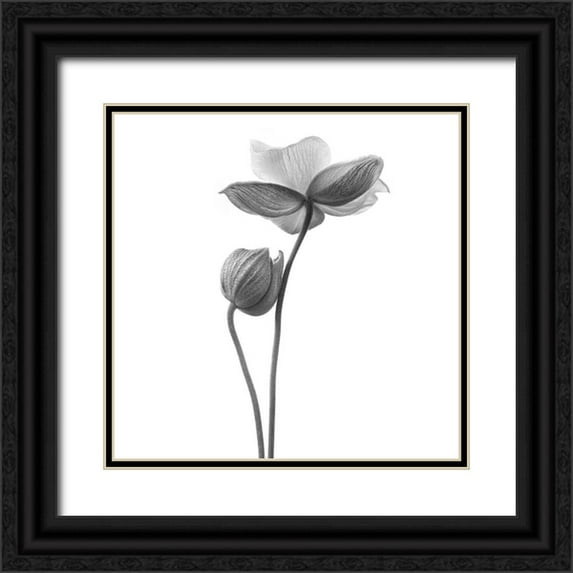 Gronkjar, Lotte 26x26 Black Ornate Wood Framed with Double Matting Museum Art Print Titled - A little touch