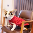 thumbnail image 4 of Dog Warm Vest, Vest Dog Sweater Warm Pullover Dog Jacket Winter Small Dog Sweater Coat Cold Weather Dog Clothes For Small Dogs Boy Or Girl, 4 of 8