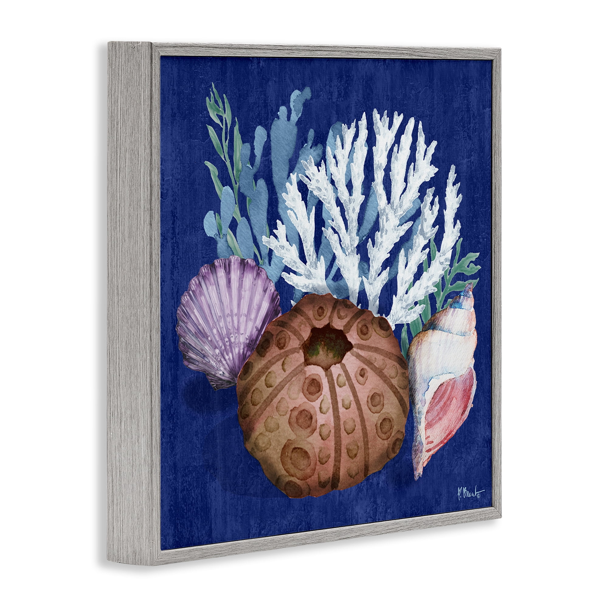 Stupell Industries Urchin & Coral Still Life Coastal Painting Gray Framed Art Print Wall Art, 24 x 24